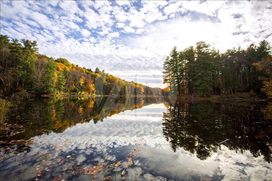 Vjeshta në Massachusetts, rezervati natyror një oazë për pushim
