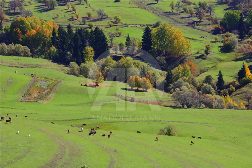 Artvin sonbaharda fotoğraf tutkunlarını cezbediyor