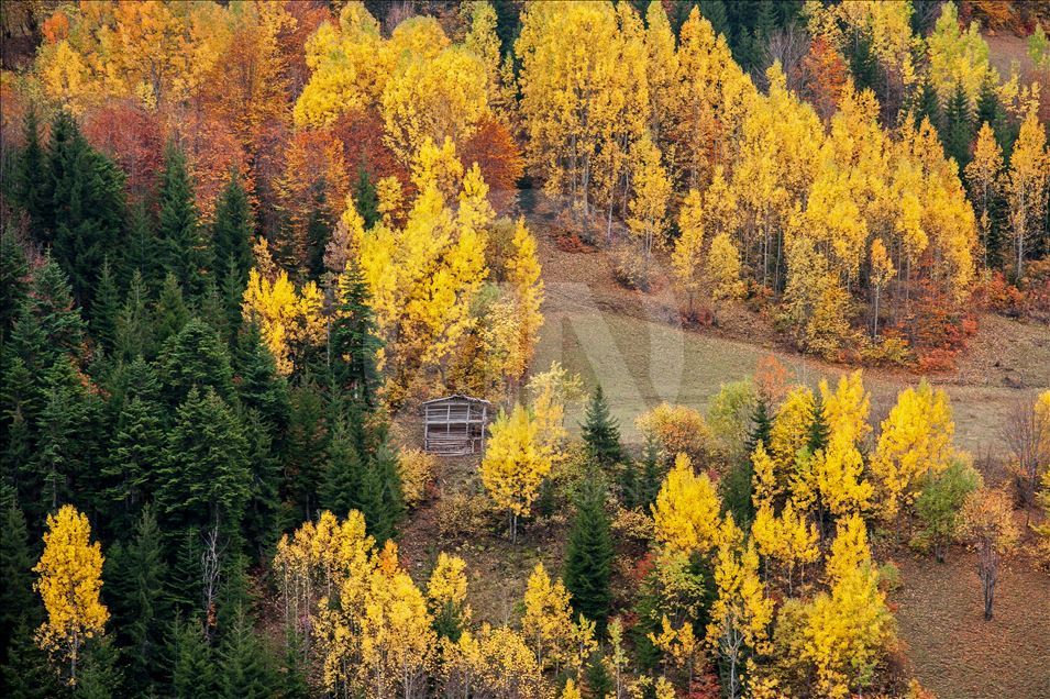 Artvin sonbaharda fotoğraf tutkunlarını cezbediyor