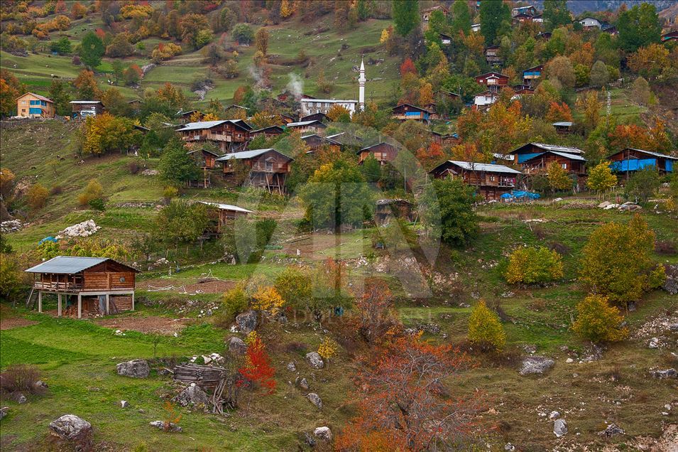 Artvin sonbaharda fotoğraf tutkunlarını cezbediyor