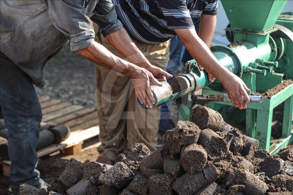 Gazze'de zeytin çekirdeği ve posasından yakıt üretiliyor