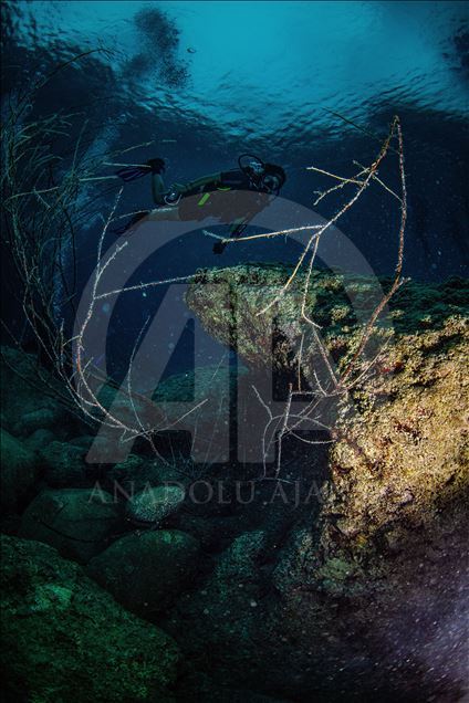 Diving Tourism in ancient Lycian coastal town of Olympos