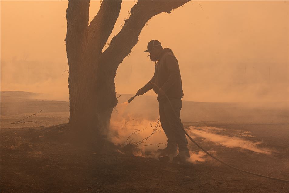 Kaliforniya'daki orman yangınları