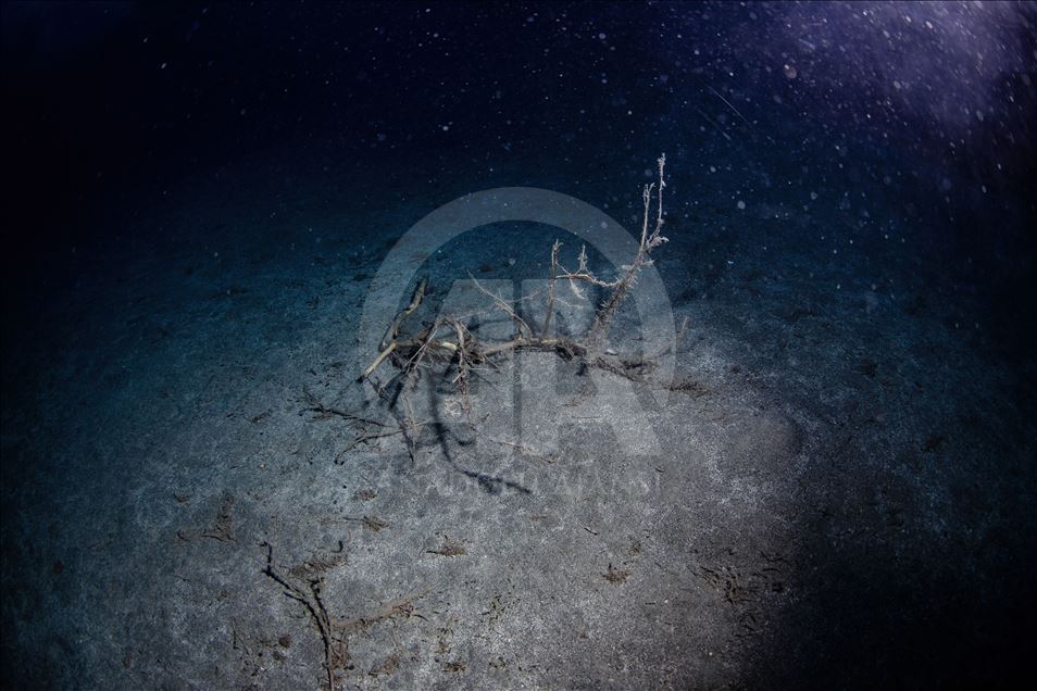 Diving Tourism in ancient Lycian coastal town of Olympos