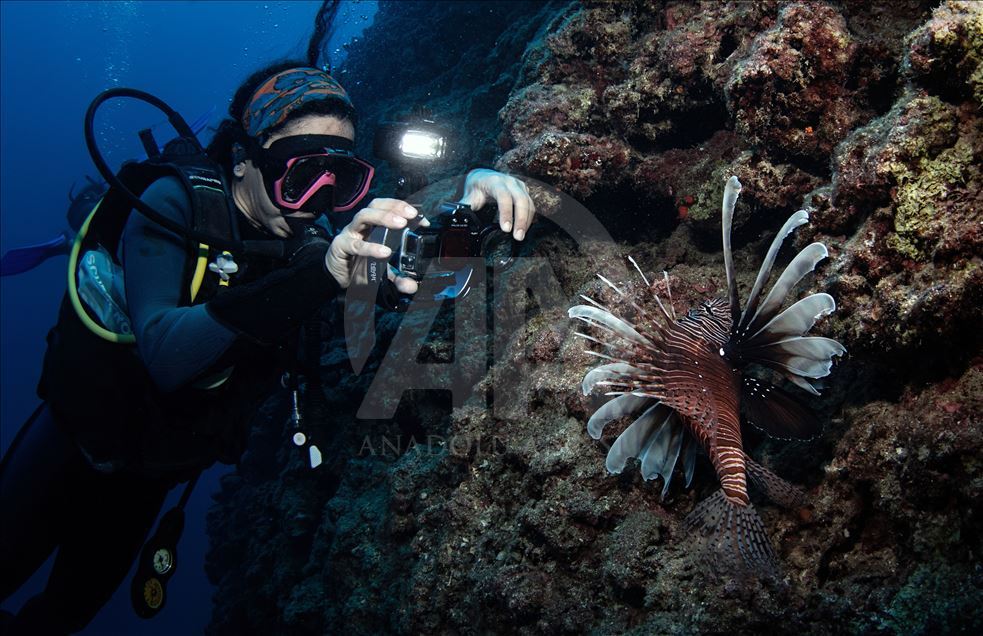 Diving Tourism in ancient Lycian coastal town of Olympos