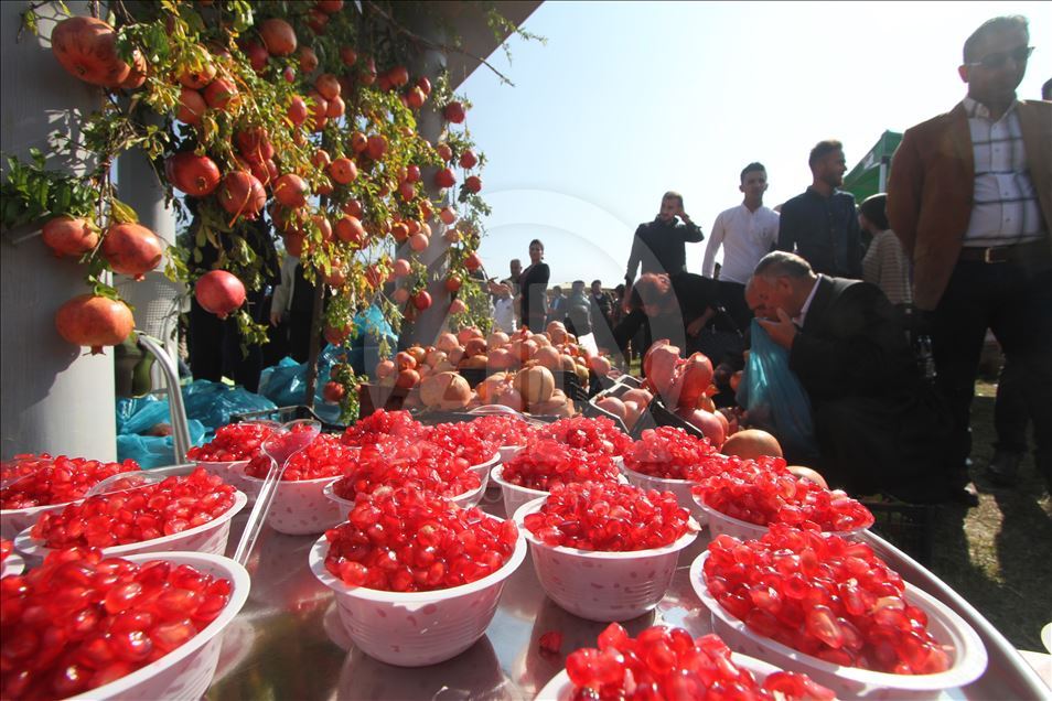 فێستیڤاڵی هەنار لە هەڵەبجە بەڕێوەدەچێت