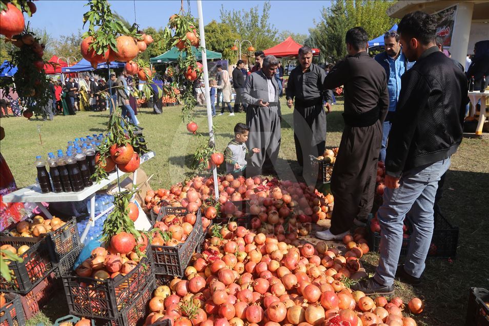 فێستیڤاڵی هەنار لە هەڵەبجە بەڕێوەدەچێت