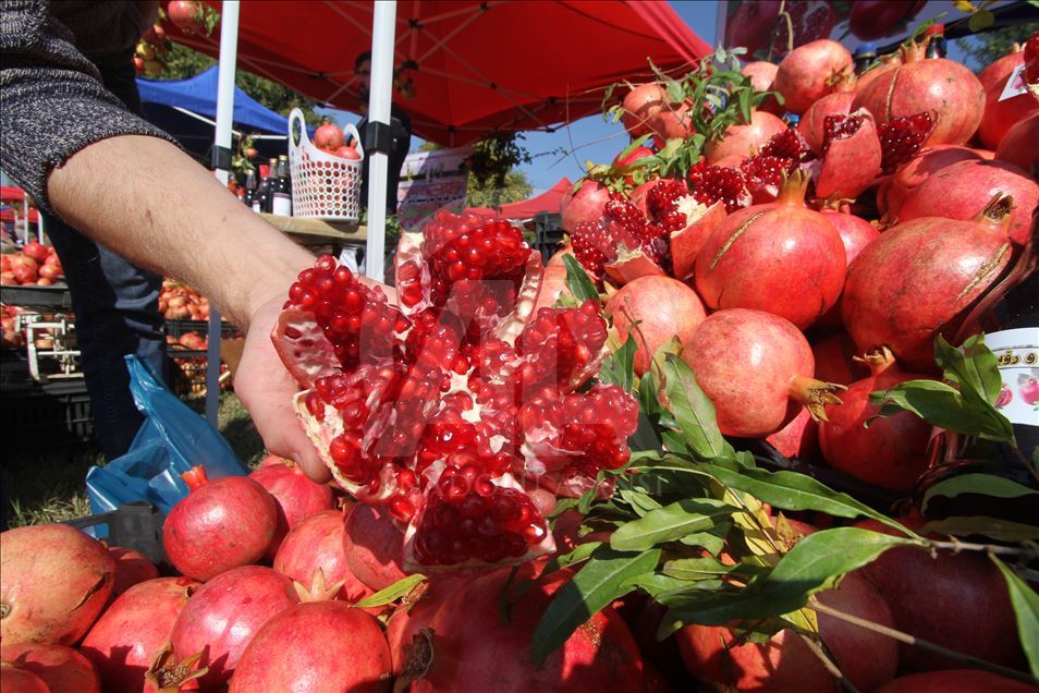 فێستیڤاڵی هەنار لە هەڵەبجە بەڕێوەدەچێت