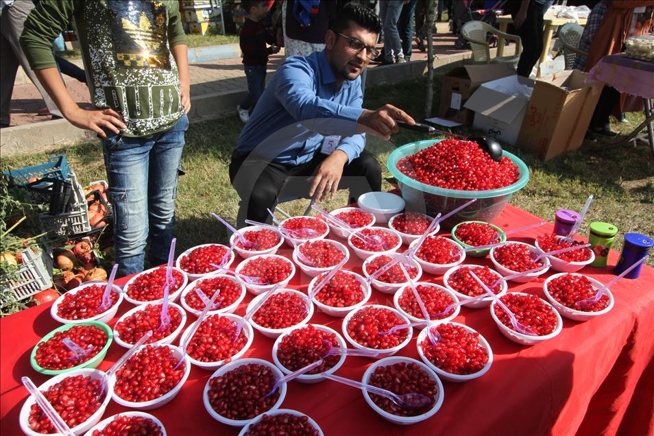 فێستیڤاڵی هەنار لە هەڵەبجە بەڕێوەدەچێت