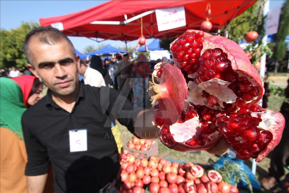 فێستیڤاڵی هەنار لە هەڵەبجە بەڕێوەدەچێت