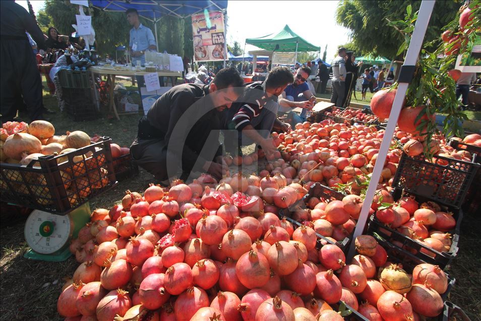 فێستیڤاڵی هەنار لە هەڵەبجە بەڕێوەدەچێت