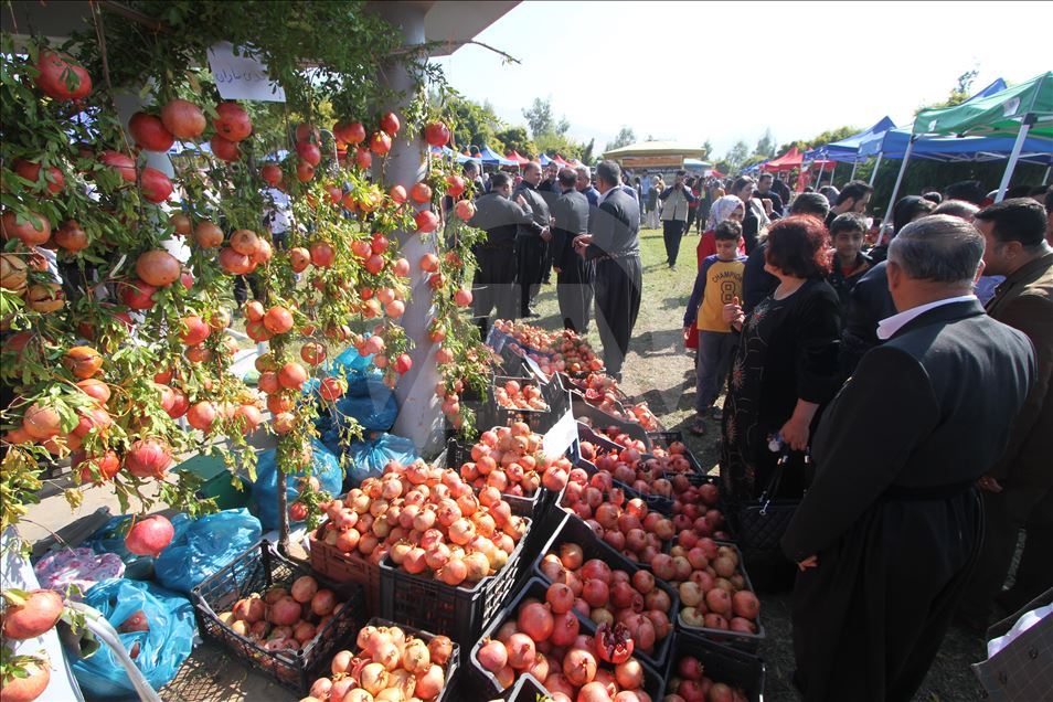 فێستیڤاڵی هەنار لە هەڵەبجە بەڕێوەدەچێت