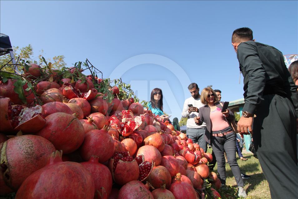 فێستیڤاڵی هەنار لە هەڵەبجە بەڕێوەدەچێت