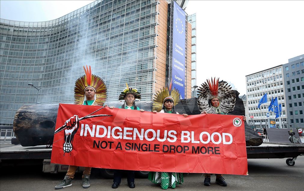 Protest against devastation of Amazon rainforest in Brussels