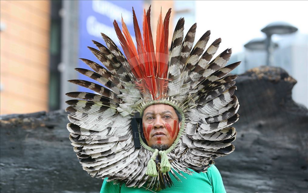 Protest against devastation of Amazon rainforest in Brussels