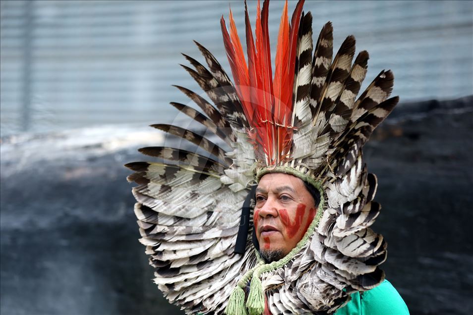 Protest against devastation of Amazon rainforest in Brussels