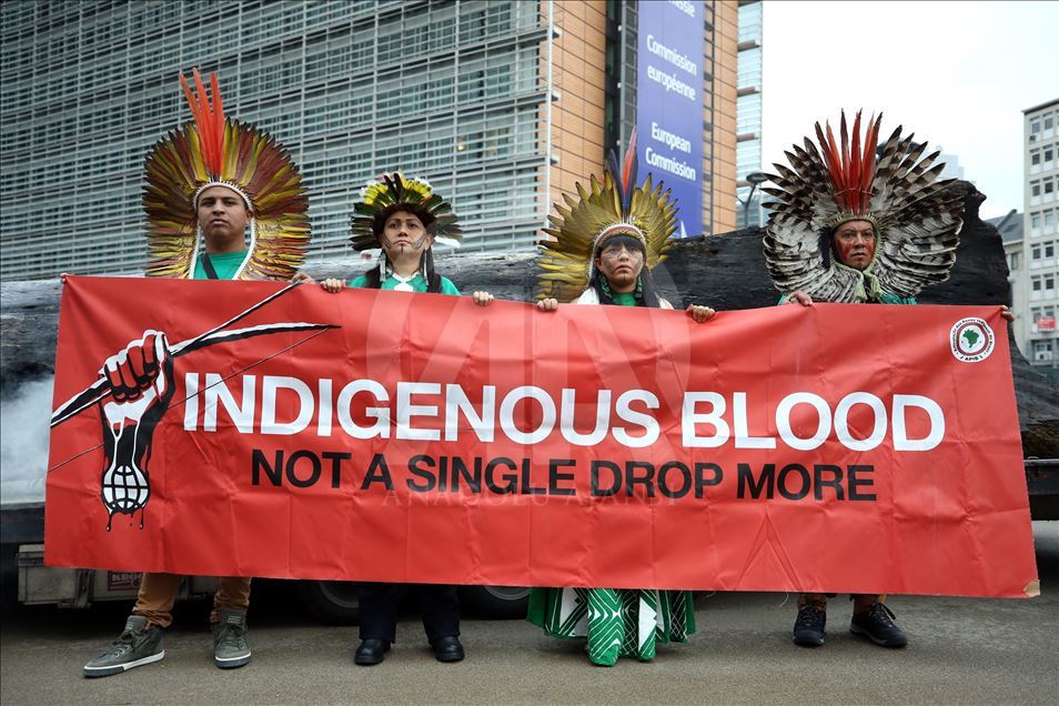 Protest against devastation of Amazon rainforest in Brussels
