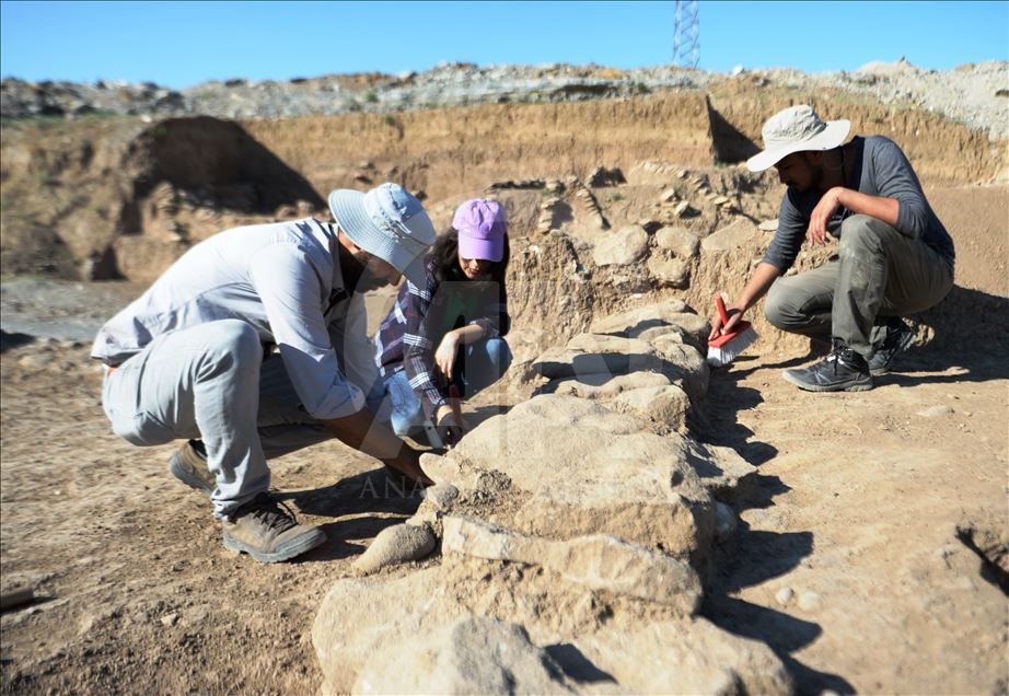 Archaeologists unearth ancient settlement in SE Turkey