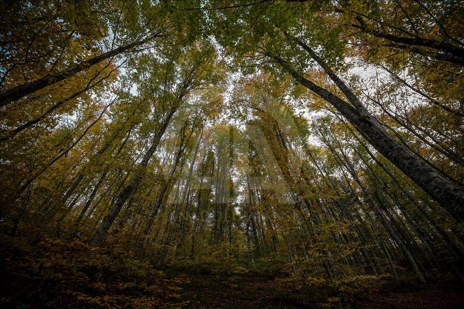 Uludag views during autumn