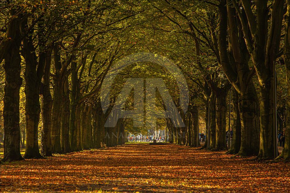 Autumn in Netherlands