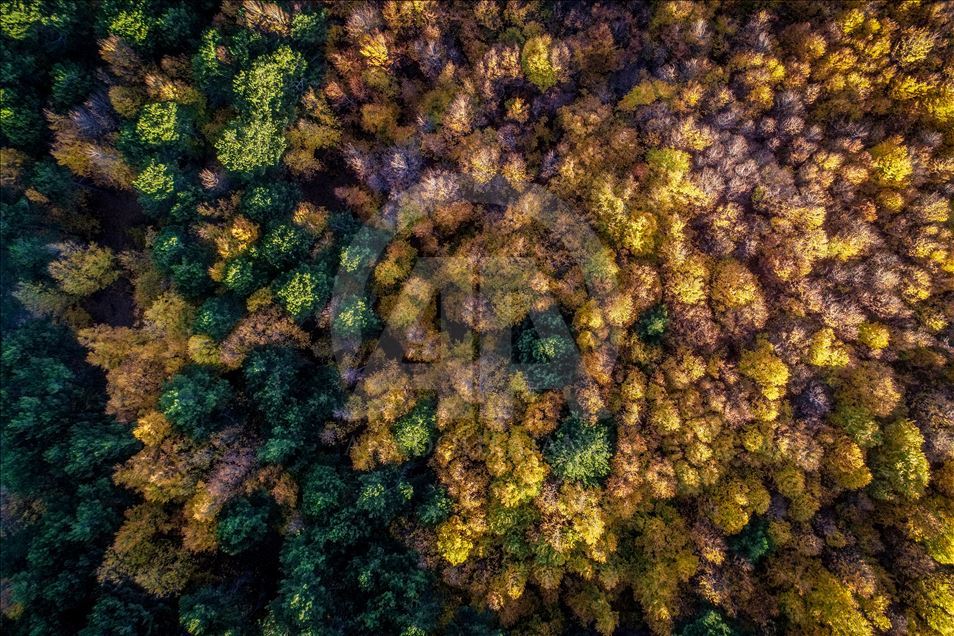 Uludag views during autumn