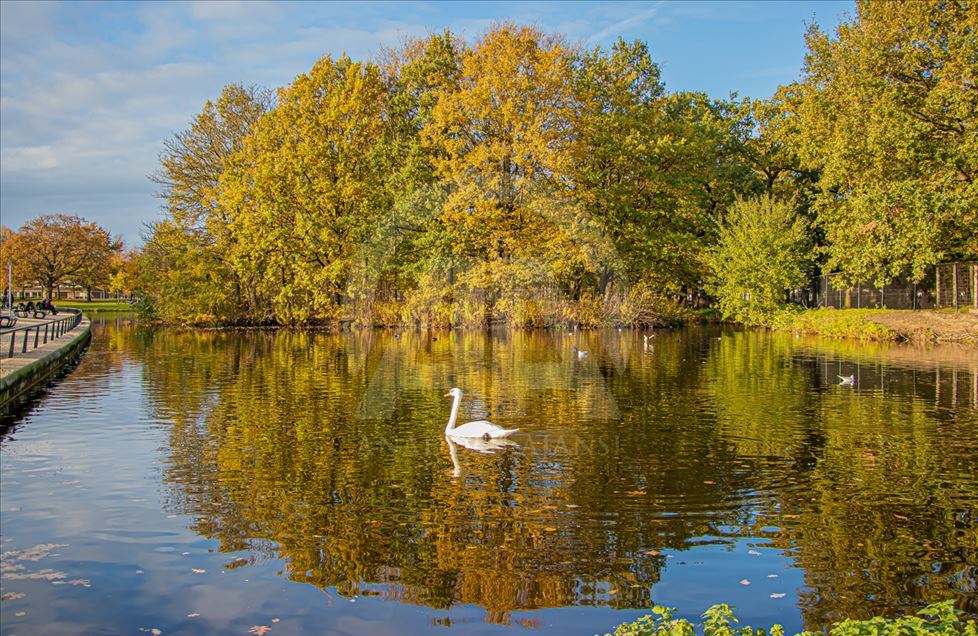 El encanto del otoño en los Países Bajos