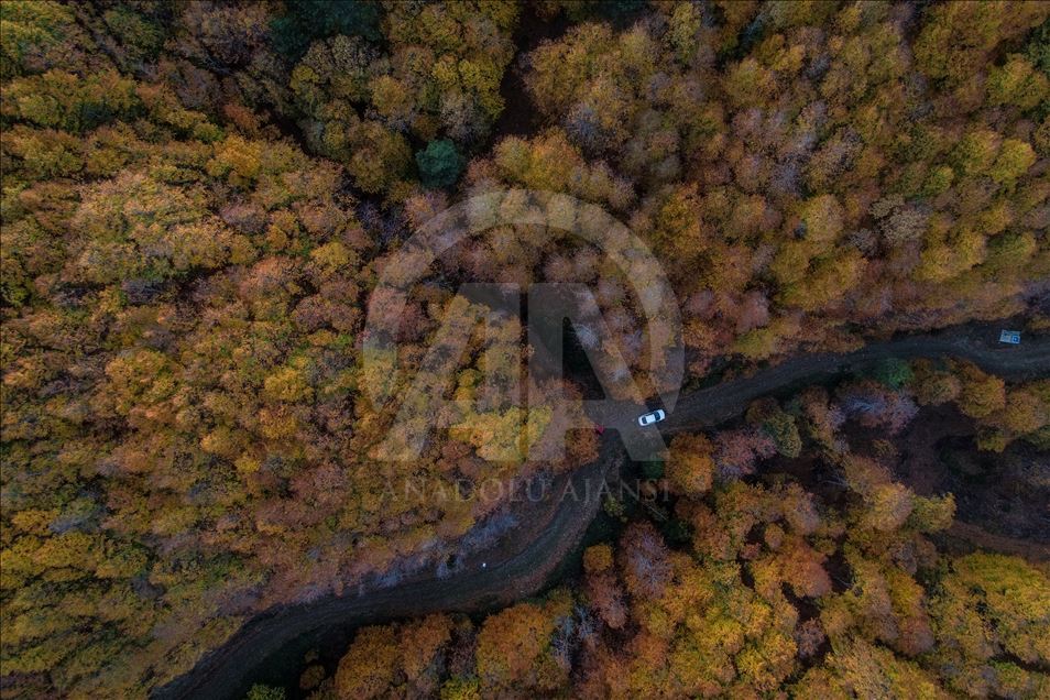 Uludag views during autumn