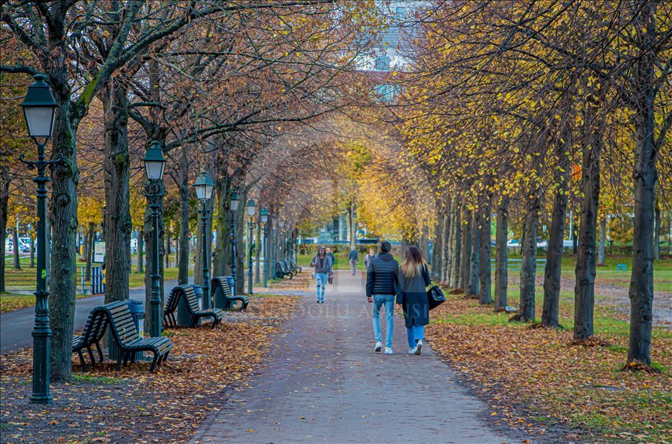 Autumn in Netherlands