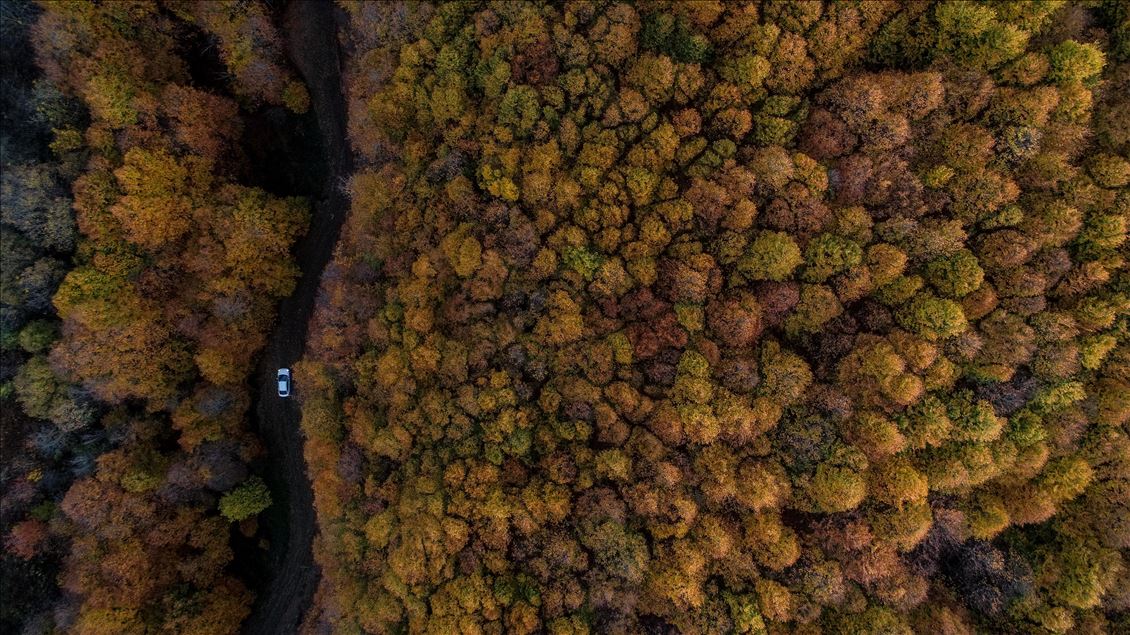 Uludag views during autumn