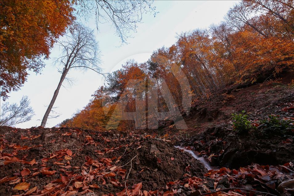 Uludag views during autumn