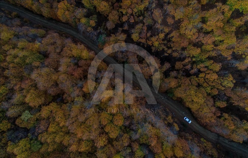 Uludag views during autumn