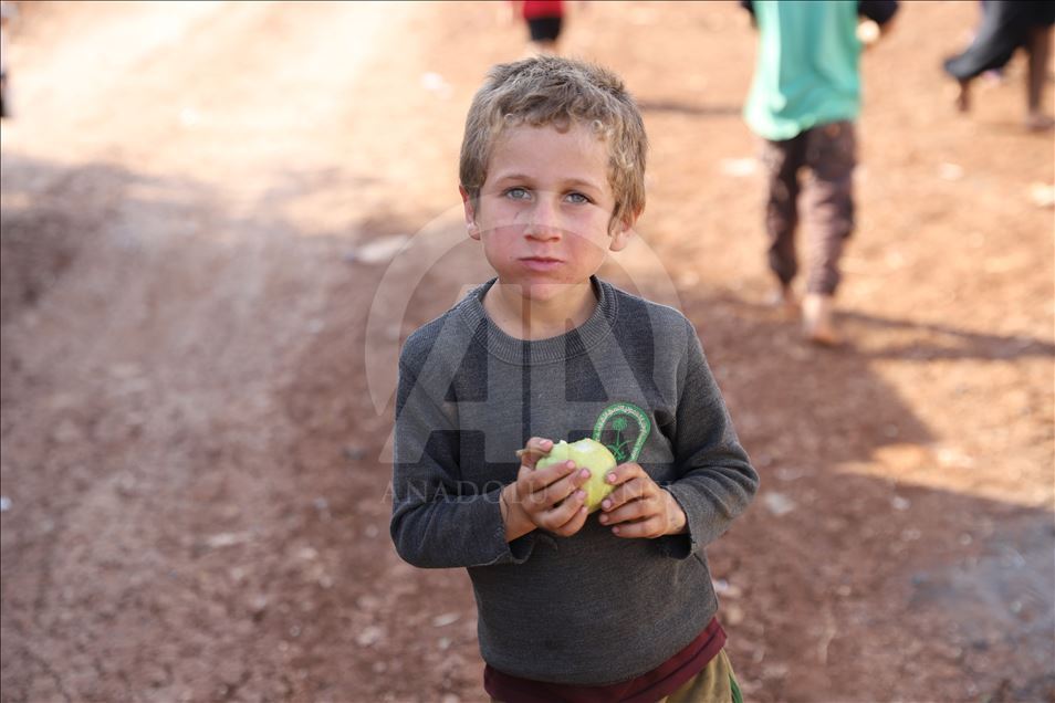 "الإغاثة التركية" توزع 21 طنا من الفاكهة على نازحين سوريين