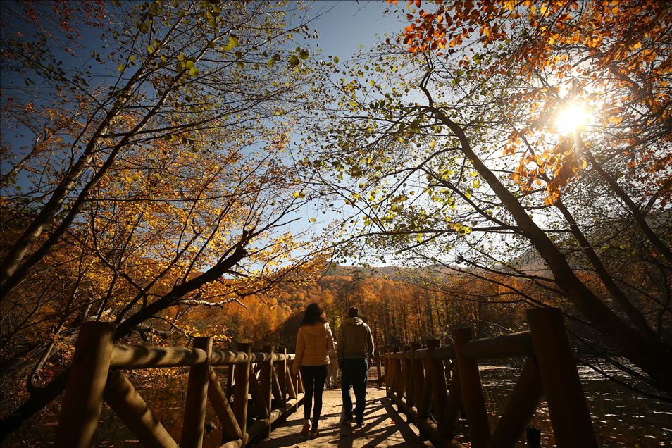 Најубавите бои на есента во Турција низ објективот на фоторепортерот на АА

