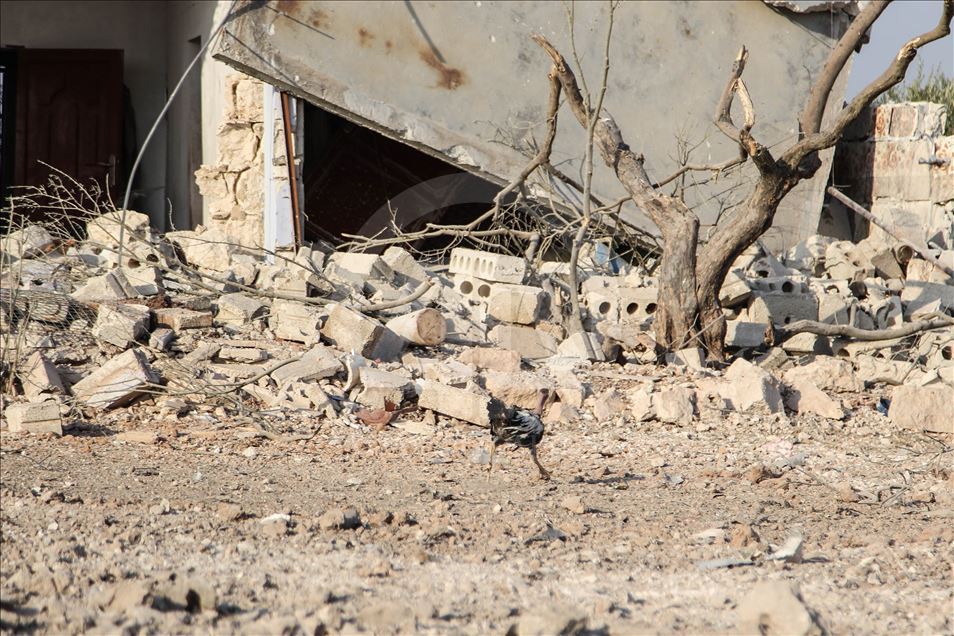 Rusya'nın İdlib'e hava saldırısında 5 sivil öldü
