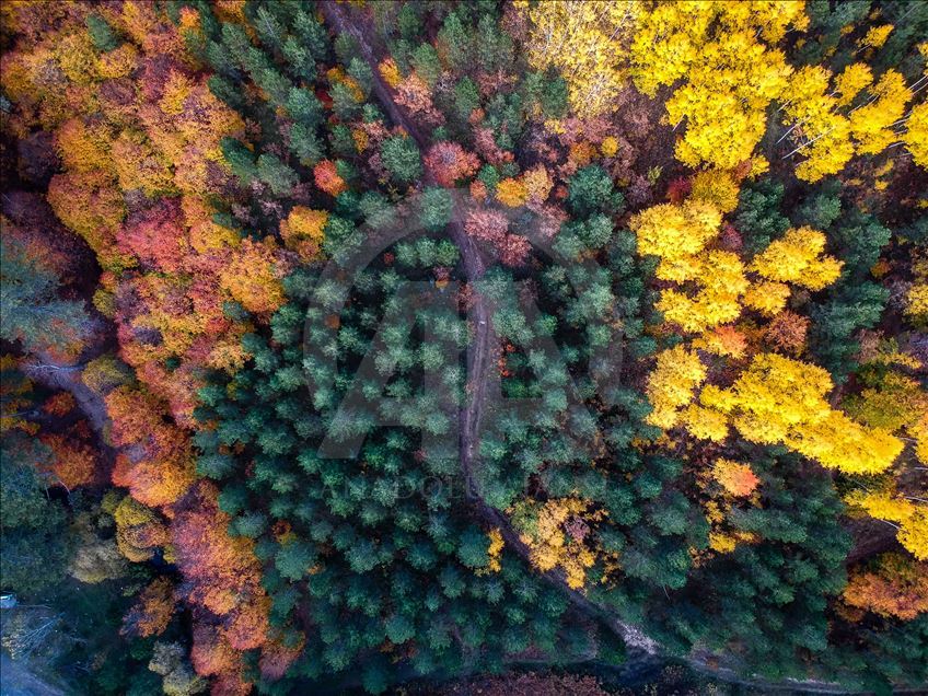 Најубавите бои на есента во Турција низ објективот на фоторепортерот на АА

