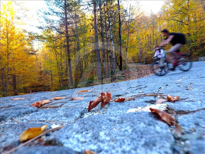 Најубавите бои на есента во Турција низ објектифот на фоторепортерот на АА