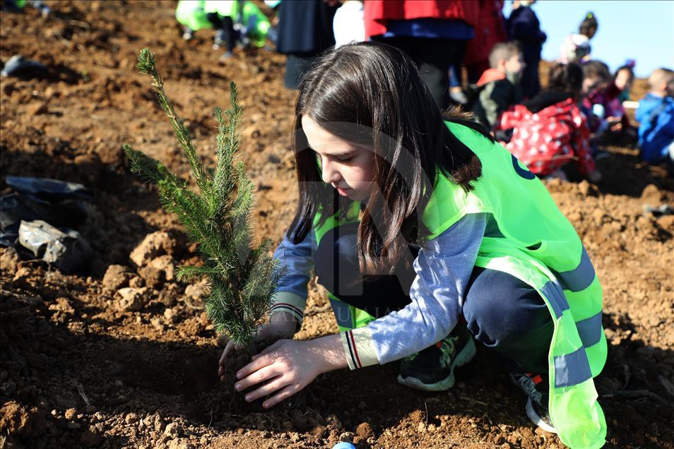 "11 Milyon Ağaç; Bugün Fidan, Yarın Nefes" kampanyası