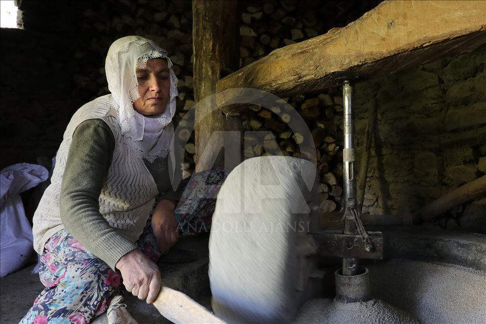 Birincê Kursunçê di aşê 150 salî da tê hêran