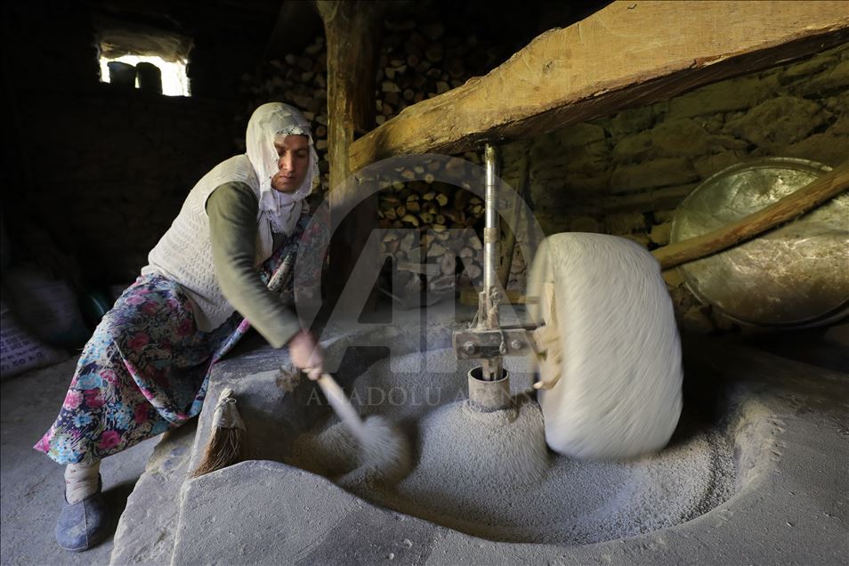 Birincê Kursunçê di aşê 150 salî da tê hêran