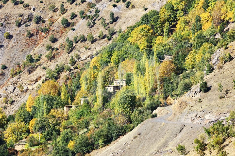Birincê Kursunçê di aşê 150 salî da tê hêran