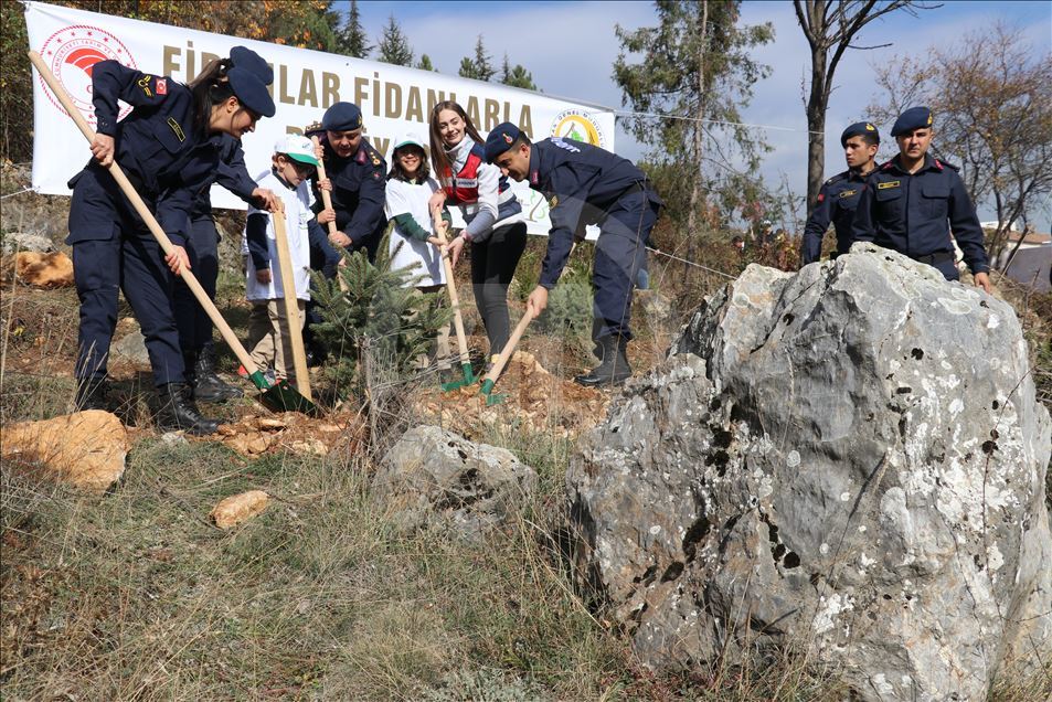 Bolu'da 111 bin 340 fidan toprakla buluştu