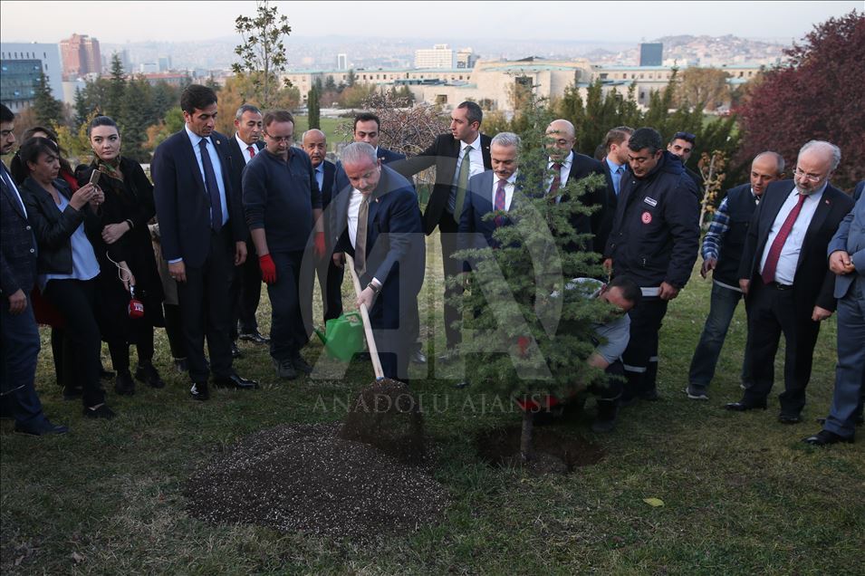 Turkish Parliament Speaker Mustafa Sentop