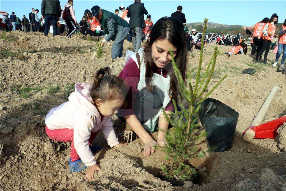 "11 Milyon Ağaç; Bugün Fidan, Yarın Nefes" kampanyası 