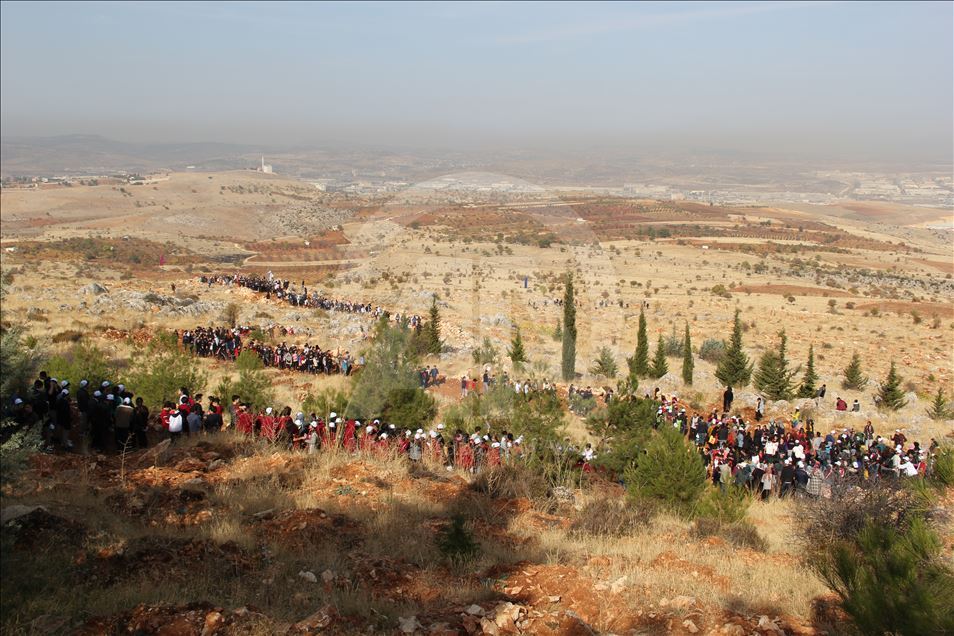 Turkey plants 11 million saplings for greener future