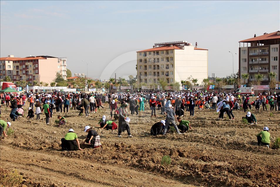 Massive forestation campaign with over 11 million saplings