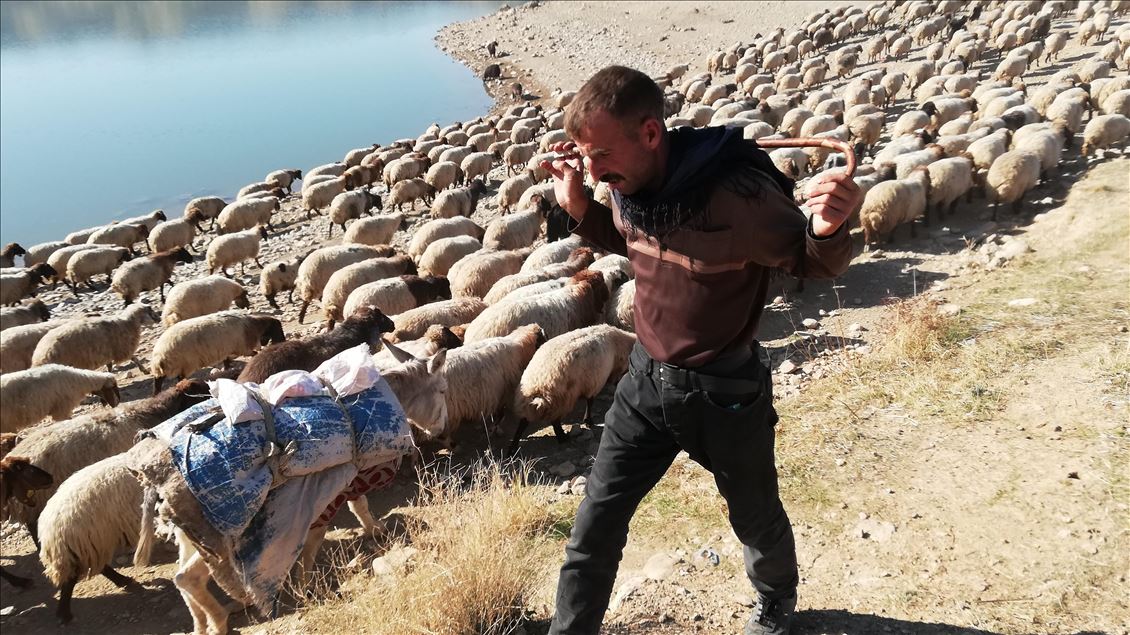 Göçerlerin eve dönüş yolculuğu