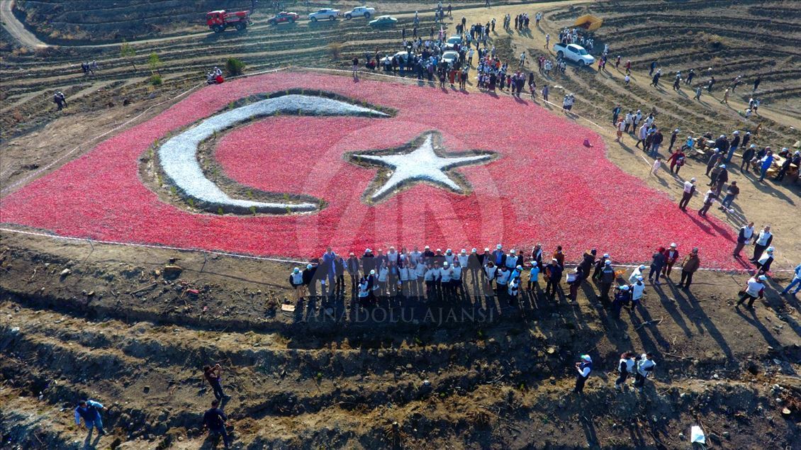 تركيا تشهد زراعة ١١ مليون غرسة في يوم واحد (سيفاس)
