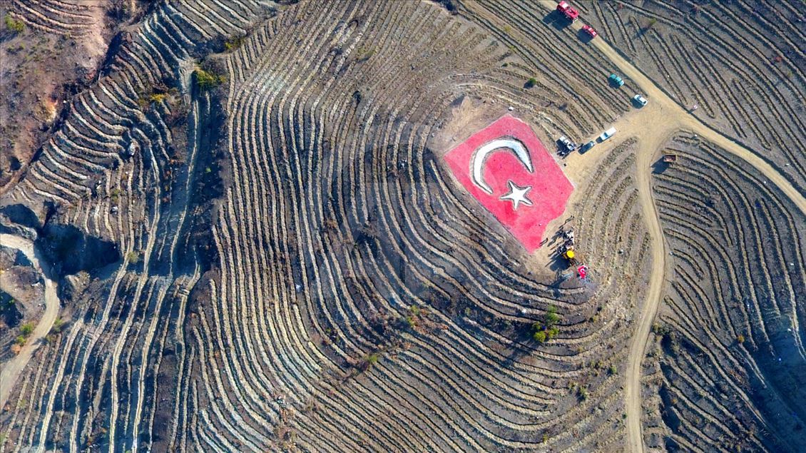 تركيا تشهد زراعة ١١ مليون غرسة في يوم واحد (سيفاس)