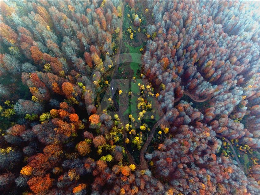 Autumn at Mount Nebiyan in Turkey's Samsun
