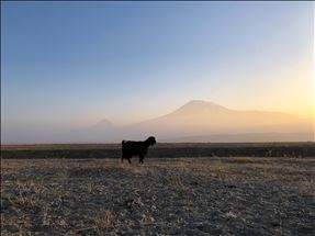 Li Çiyayê Agiriyê dagêra dawîn a salê
